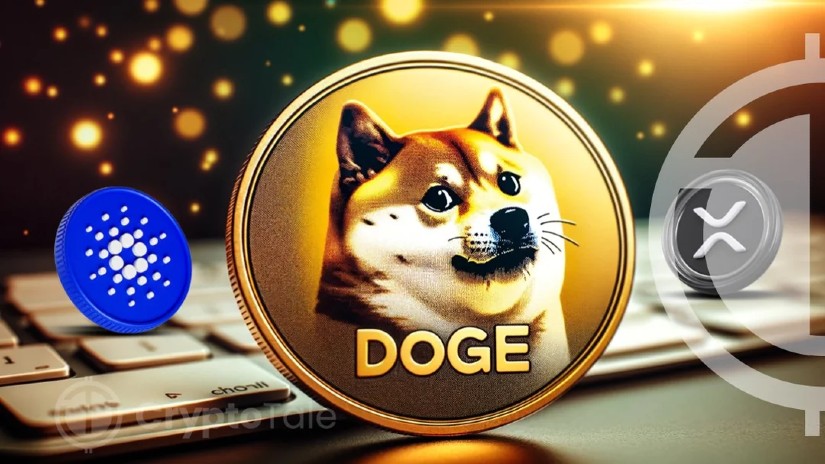 تغییر قیمت دوج کوین (DOGE) ، ریپل (XRP) و کاردانو (ADA)